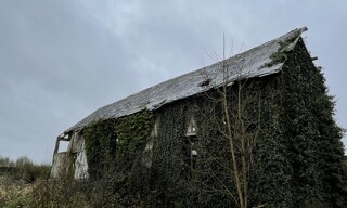 Photo N° 5