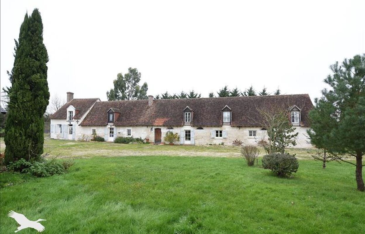 maison 9 pièces 360 m2 à vendre à Vicq-sur-Nahon (36600)