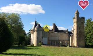 Maison 26 Pièces 1500 m² à vendre à Nérondes (18350)