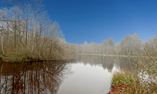 Photo N° 3