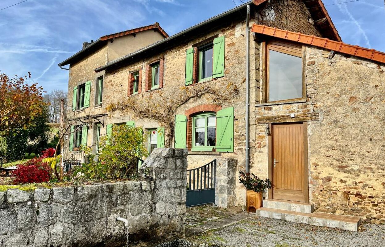 maison 8 pièces 239 m2 à vendre à Le Palais-sur-Vienne (87410)