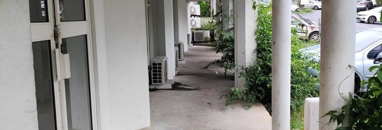 Commerce 1 Pièce 45 m² à louer à Fort-de-France (97200)