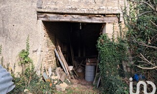 Photo N° 6