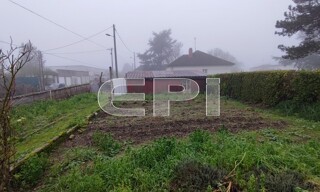 Photo N° 6