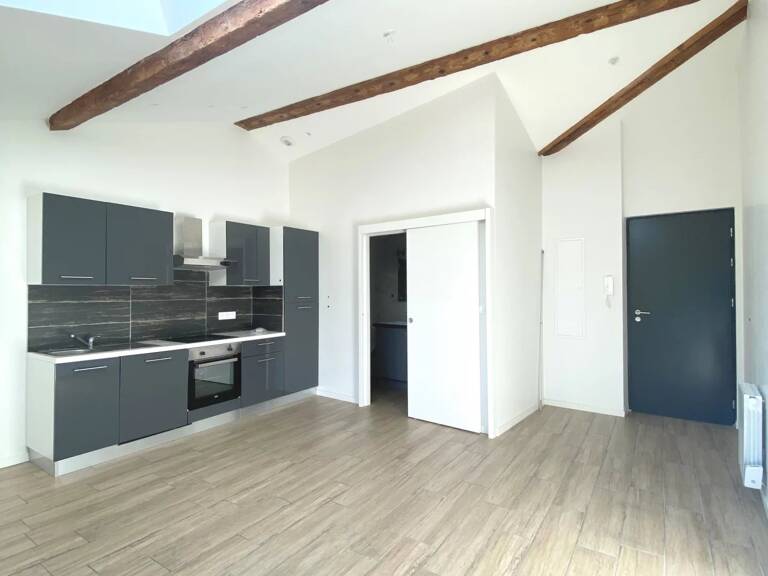 T2 EN PLEIN CENTRE DE CHASSELAY — photo 1