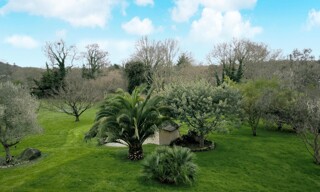 Photo N° 2