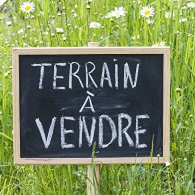 Terrain  14990 €