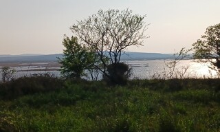 Photo N° 3