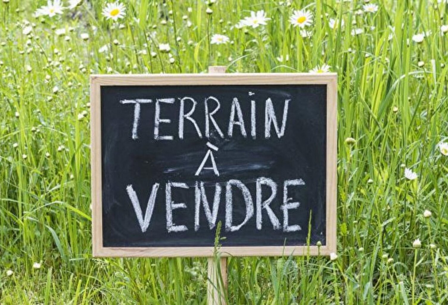 Terrain agricole — photo 1