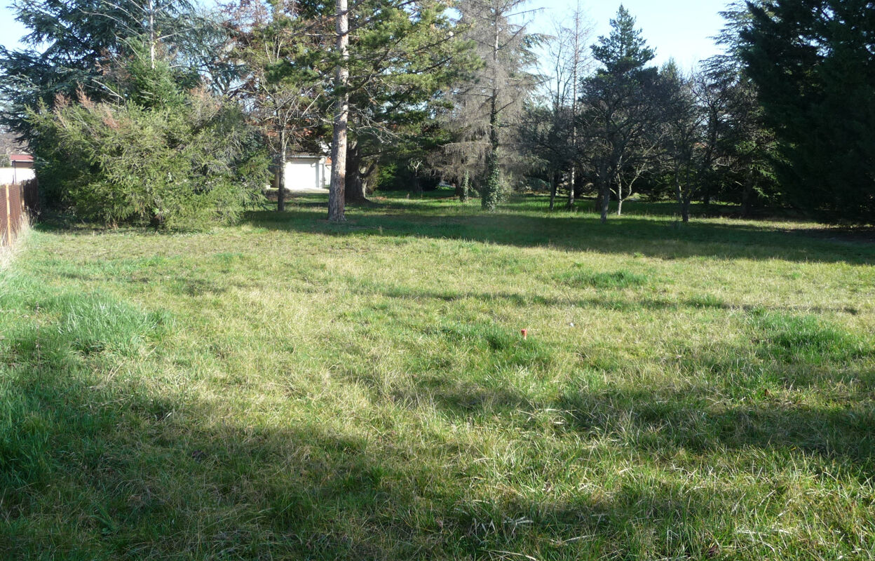 terrain  pièces 770 m2 à vendre à Savigneux (42600)