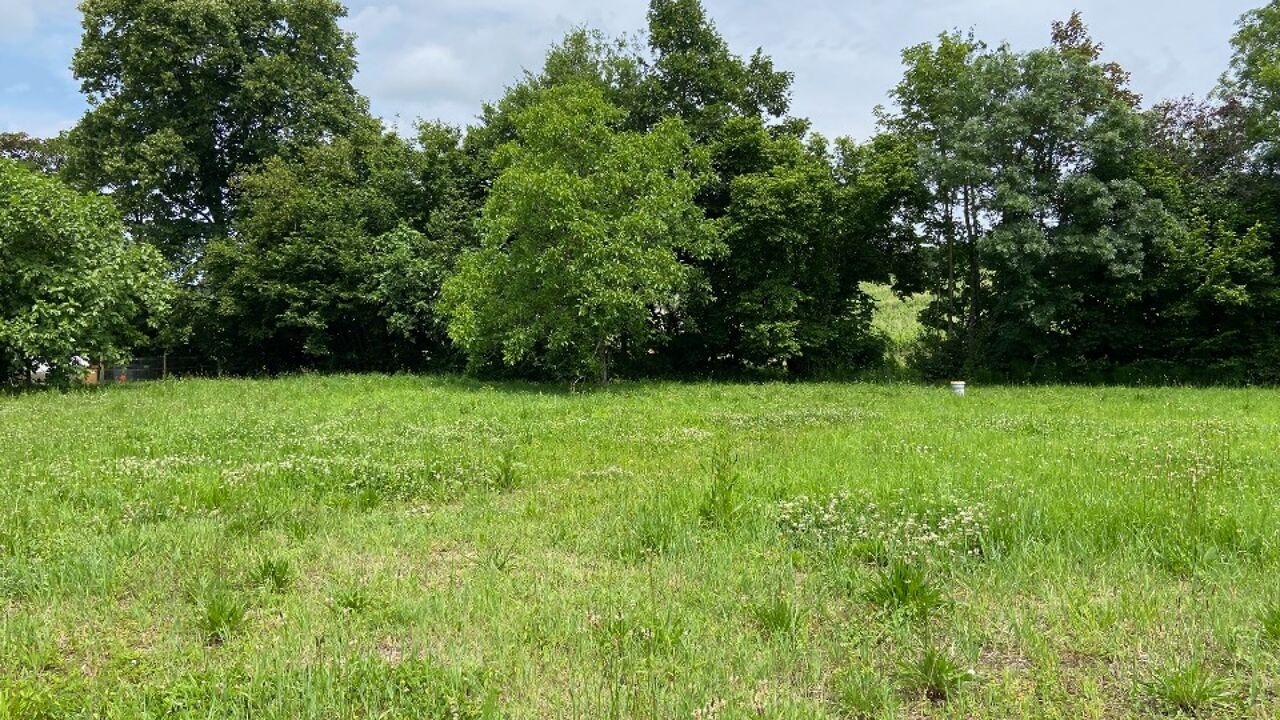 terrain  pièces 800 m2 à vendre à Bourg (33710)