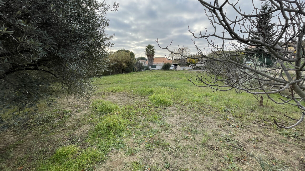 terrain  pièces 600 m2 à vendre à Baillargues (34670)