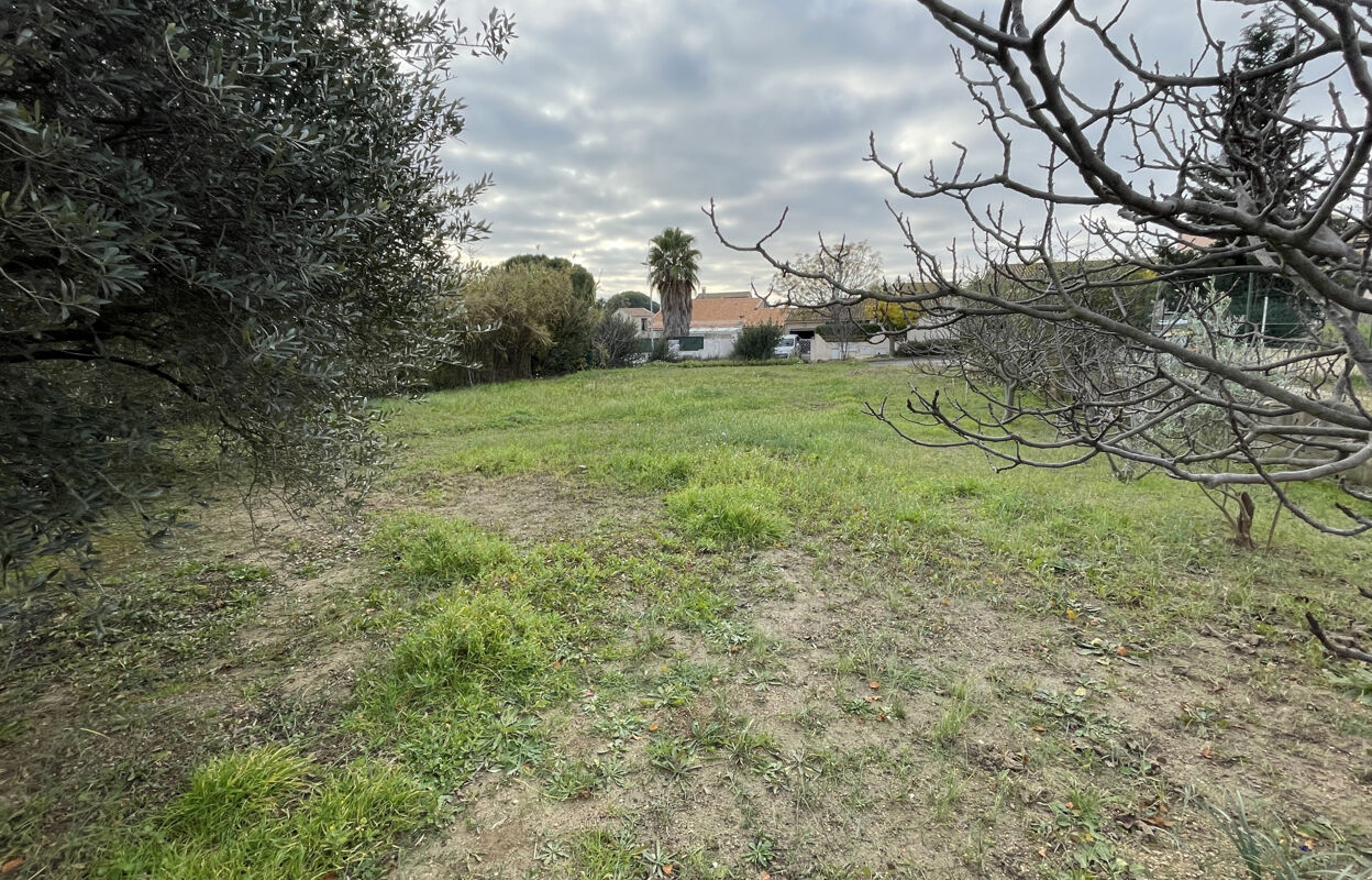 terrain  pièces 600 m2 à vendre à Baillargues (34670)