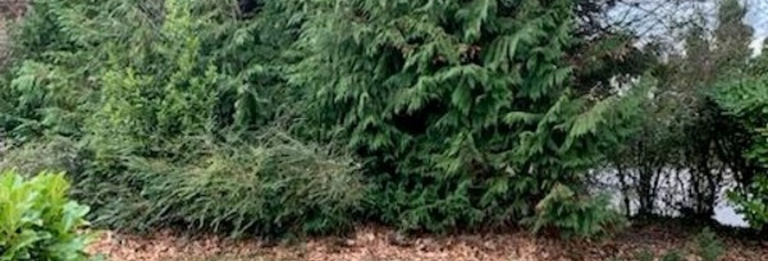 Terrain  605 m² à vendre à Erquy (22430)