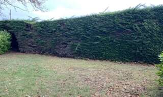 Terrain  605 m² à vendre à Erquy (22430)