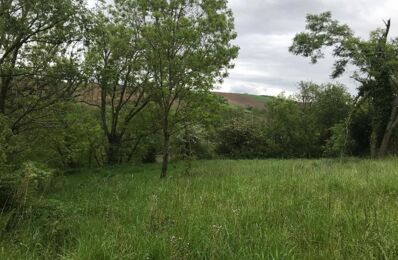 terrain  pièces 1690 m2 à vendre à Caignac (31560)