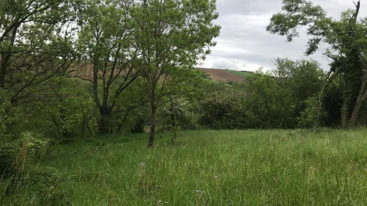 terrain  pièces 1690 m2 à vendre à Caignac (31560)