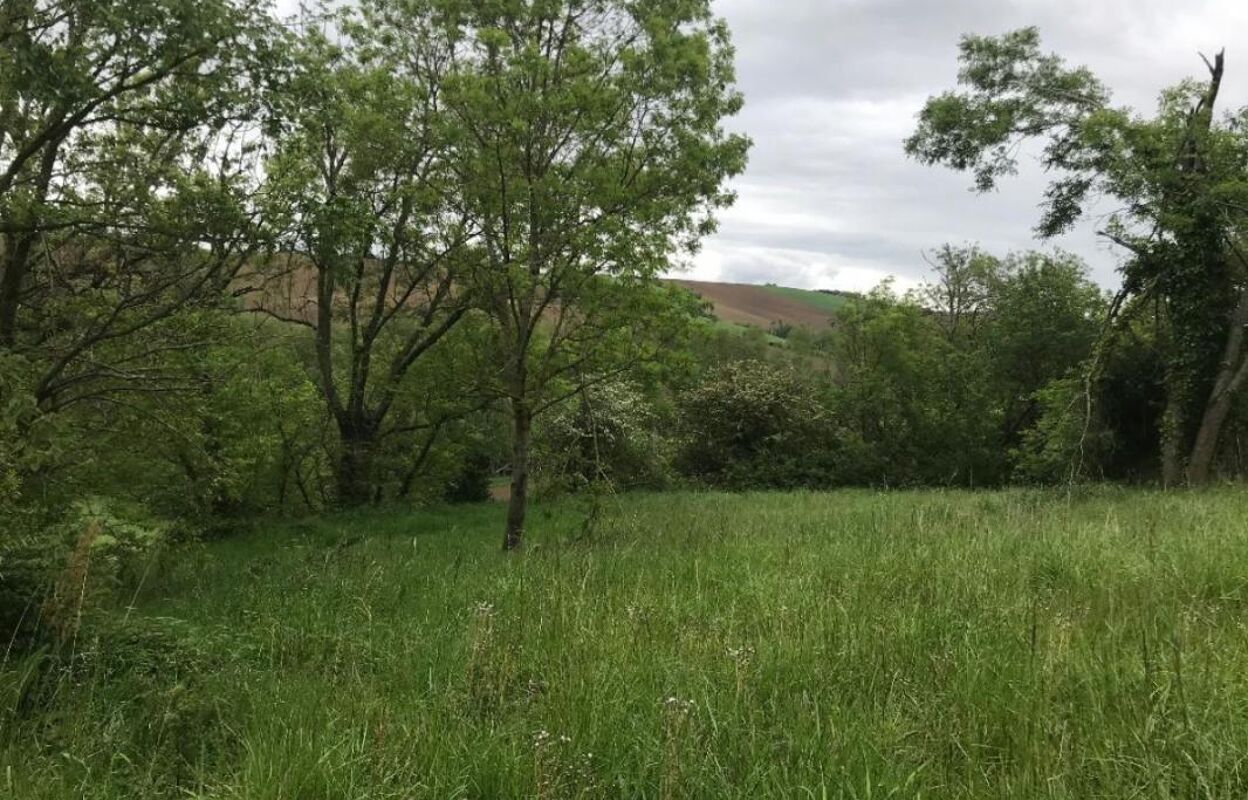 terrain  pièces 1690 m2 à vendre à Caignac (31560)