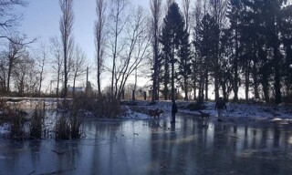 Photo N° 14