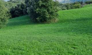 Maison 110 m² à construire Saint-Péray (07130)