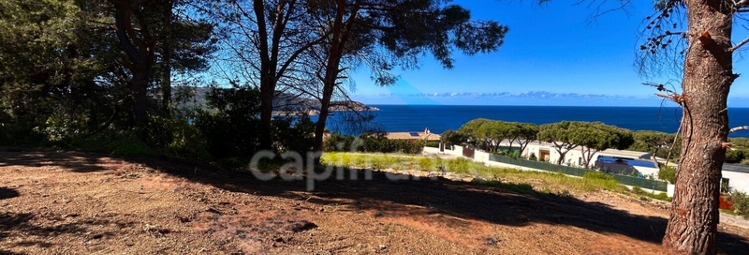 Terrain  1378 m² à vendre à Calvi (20260)