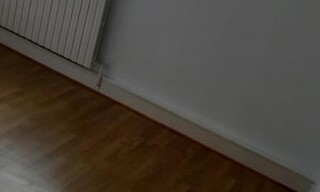 Photo N° 7