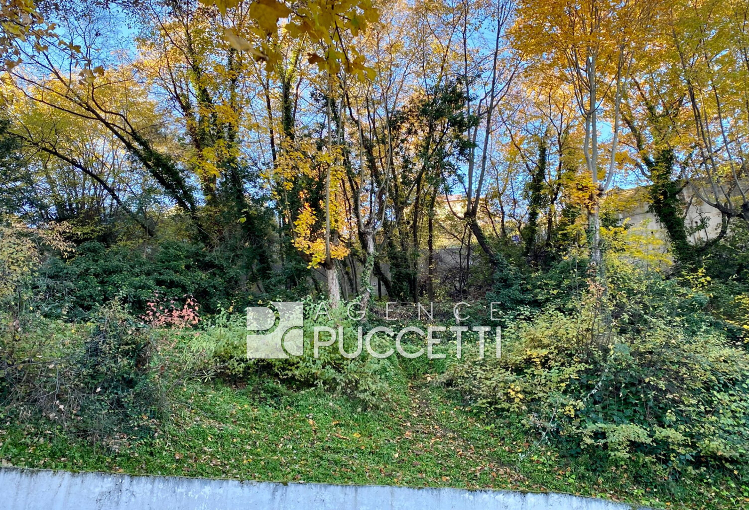 vente terrain — photo 1