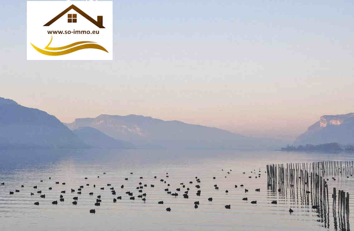 Agence immobilière de SO IMMOBILIER
