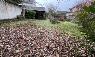 Photo N° 8