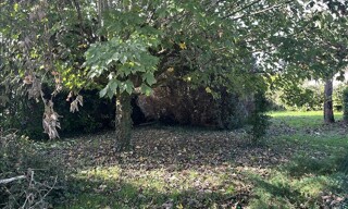 Photo N° 6