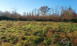 Terrain  648 m² à vendre à Landiras (33720)