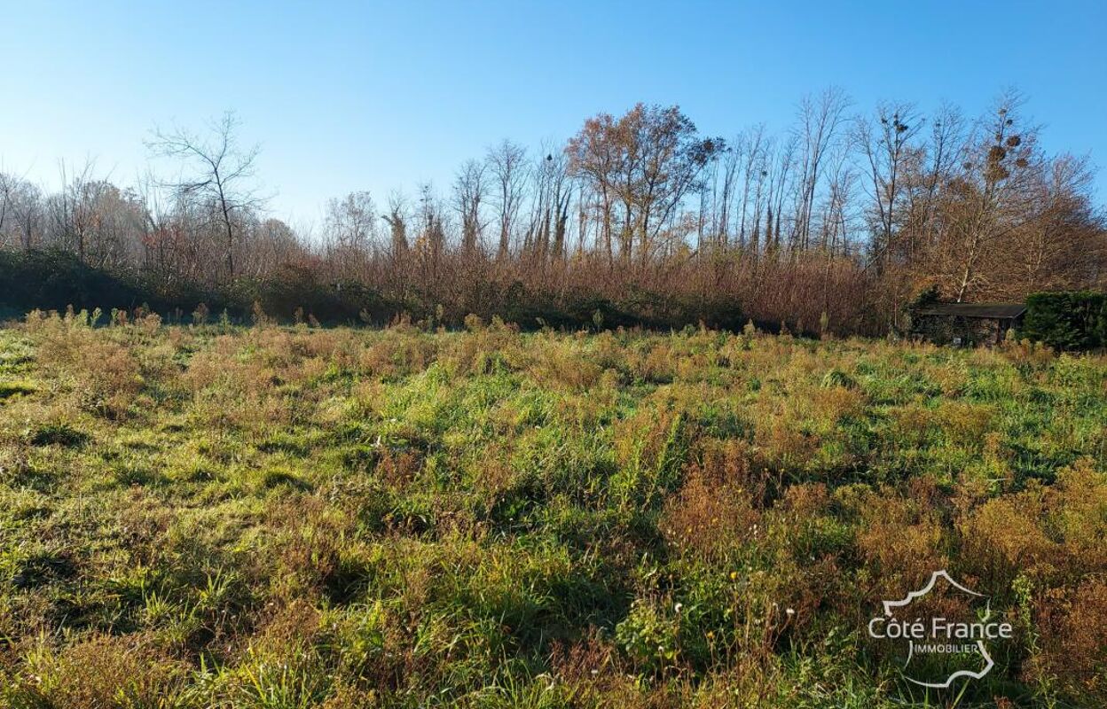 terrain  pièces 648 m2 à vendre à Landiras (33720)