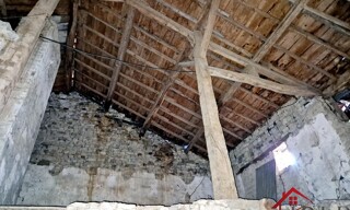 Photo N° 6