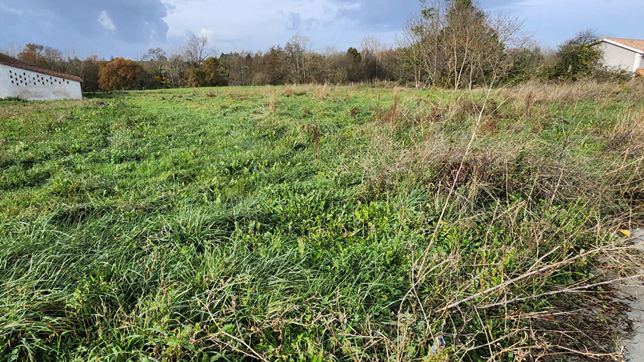 terrain  pièces 1224 m2 à vendre à Val-de-Livenne (33820)