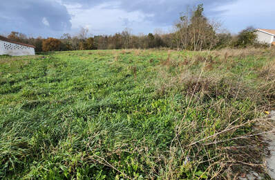 A VENDRE TERRAIN À BATIR 1224 m2 VIABILISÉ VAL-DE-LIVENNE — photo du bien