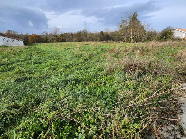A VENDRE TERRAIN À BATIR 1224 m2 VIABILISÉ VAL-DE-LIVENNE — photo du bien