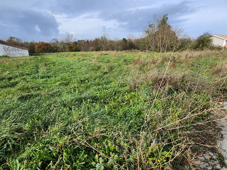 A VENDRE TERRAIN À BATIR 1224 m2 VIABILISÉ VAL-DE-LIVENNE — photo 1