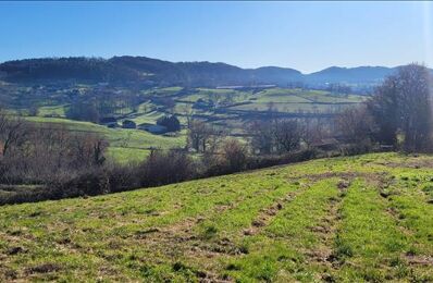 terrain  pièces 18100 m2 à vendre à Puy-d'Arnac (19120)