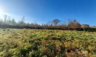 Terrain  730 m² à vendre à Landiras (33720)