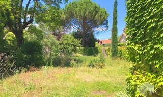 Photo N° 6
