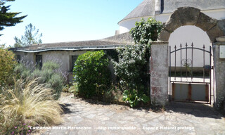 Photo N° 4