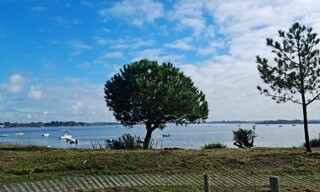 Photo N° 6