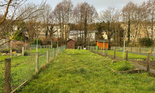 Photo N° 6