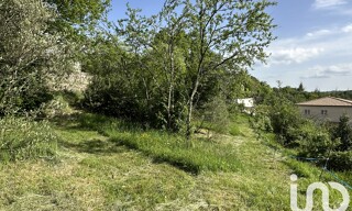 Photo N° 6
