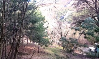 Photo N° 16