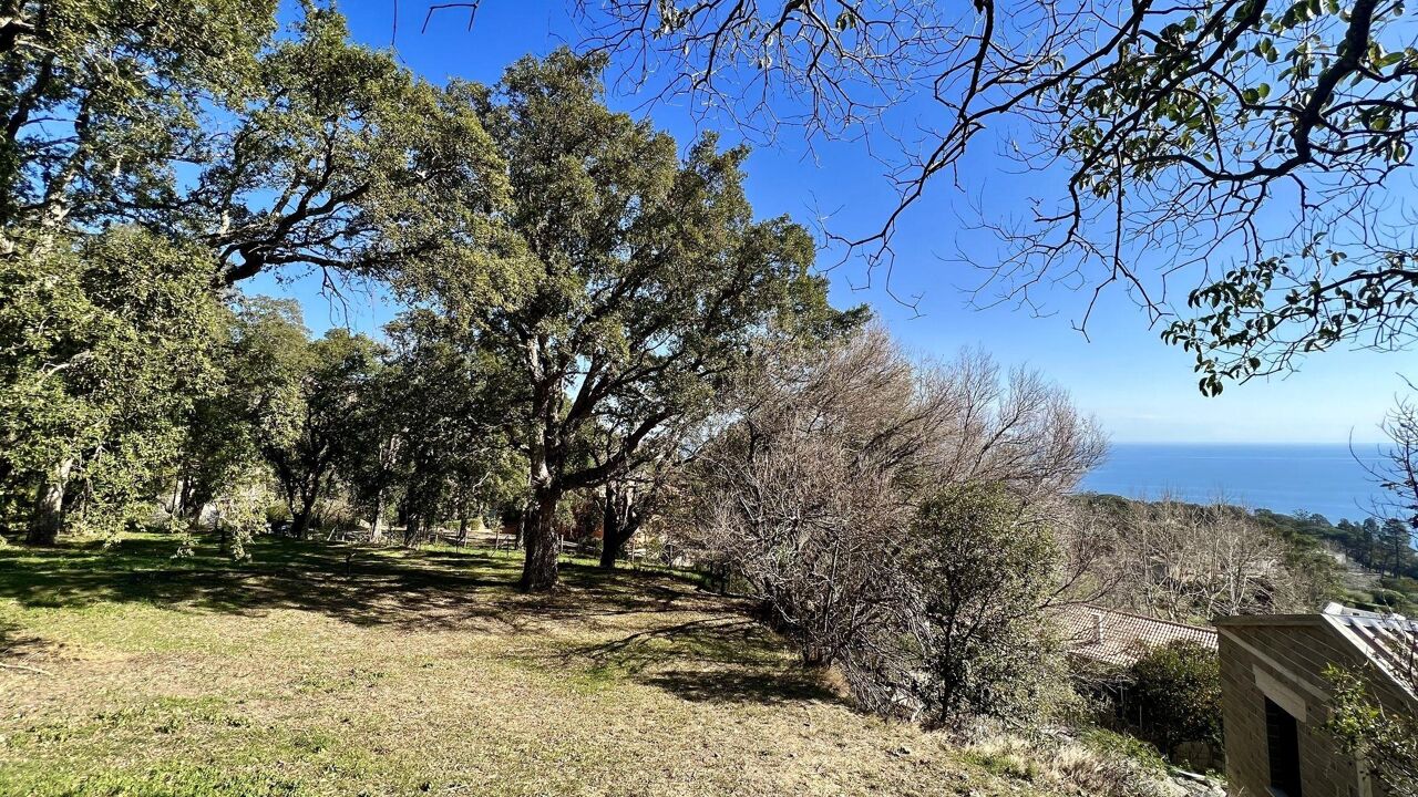 terrain  pièces 1000 m2 à vendre à Bastia (20200)