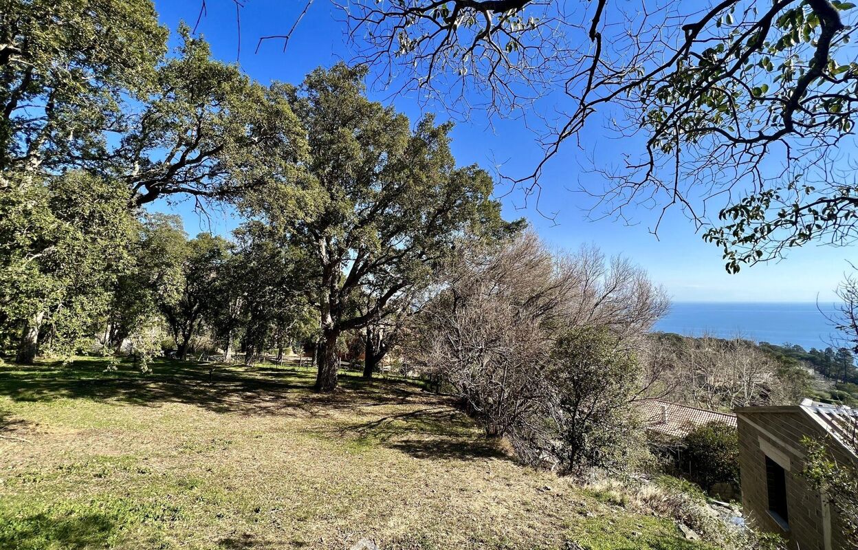 terrain  pièces 1000 m2 à vendre à Bastia (20200)