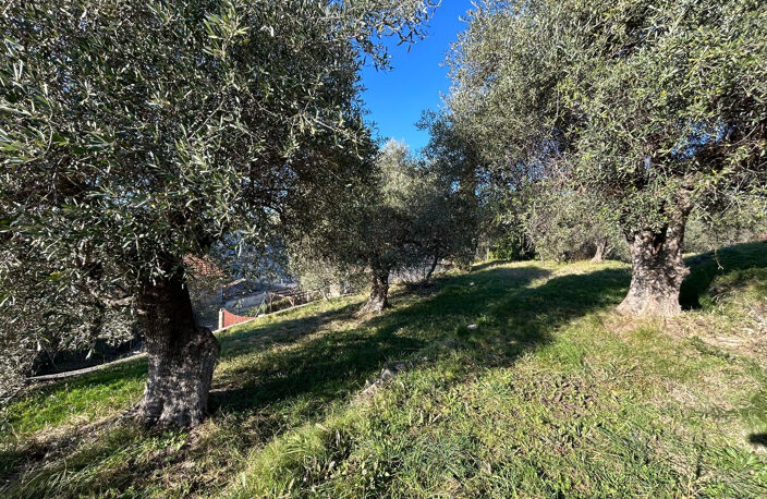 RARE ! DRAP COLLINES Terrain Constructible de 3 000 m2 avec — photo 2
