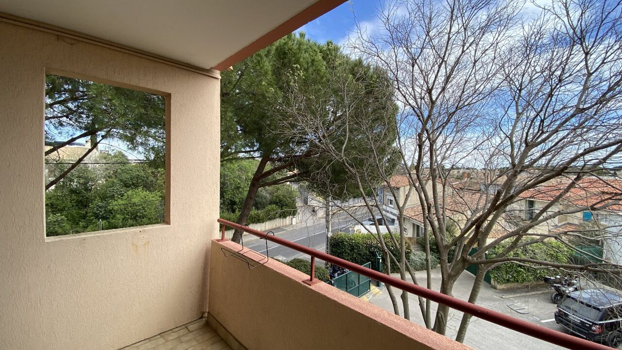 appartement 3 pièces 62 m2 à louer à Montpellier (34000)