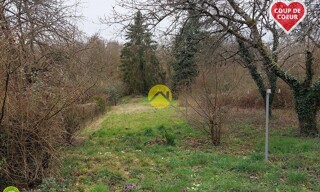 Photo N° 6